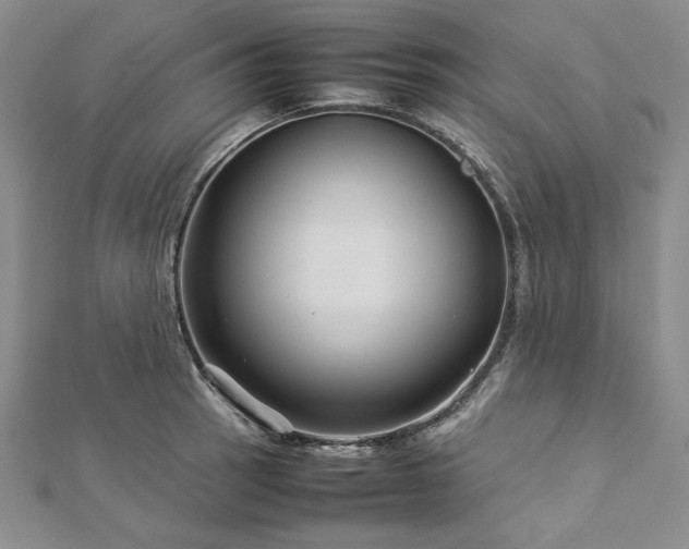 X0000113011137200908271403