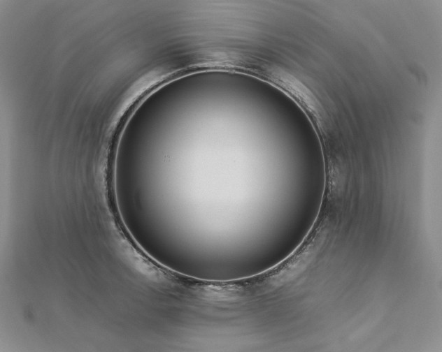 X0000113011138200908271403