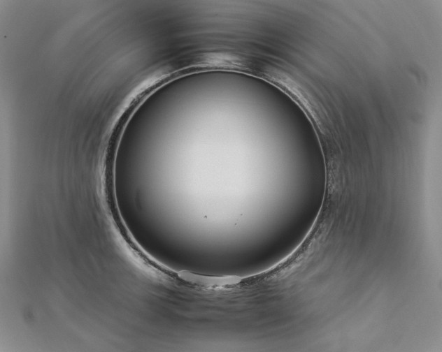 X0000113011139200908271403