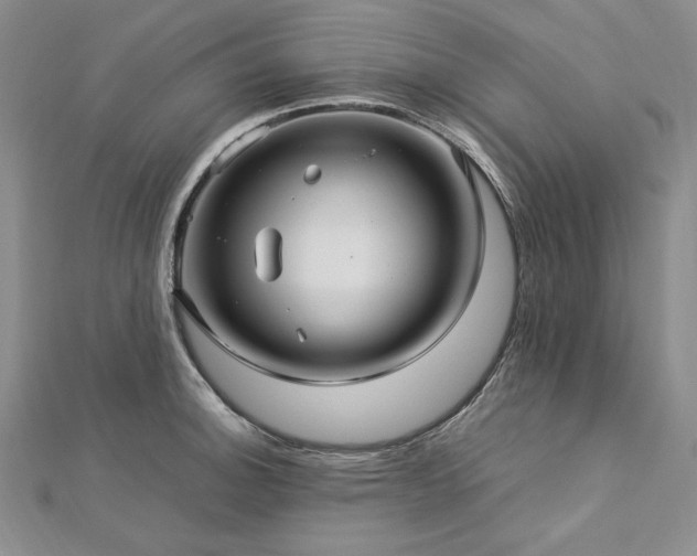 X0000113011140200908271403