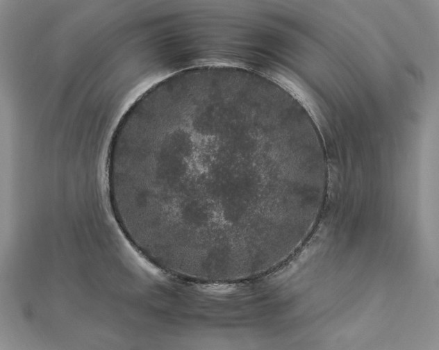 X0000113011141200908271403