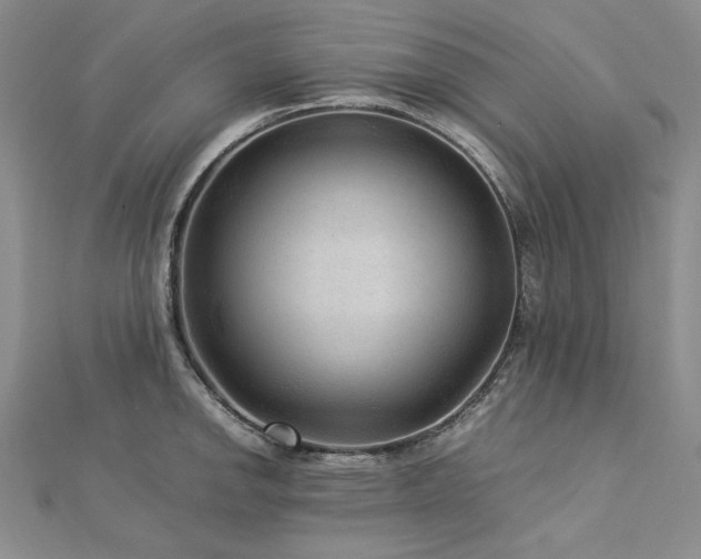 X0000113011142200908271403