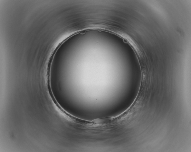 X0000113011143200908271403