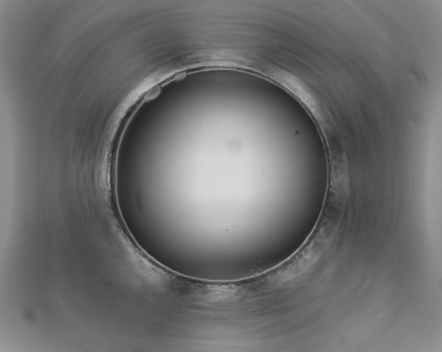 X0000113011144200908271403