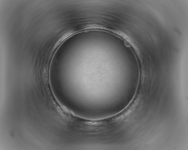 X0000113011145200908271403