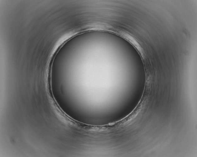 X0000113011146200908271403