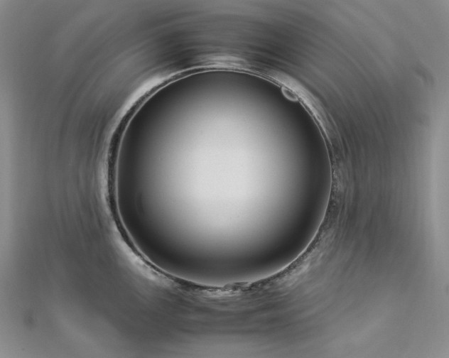 X0000113011147200908271403