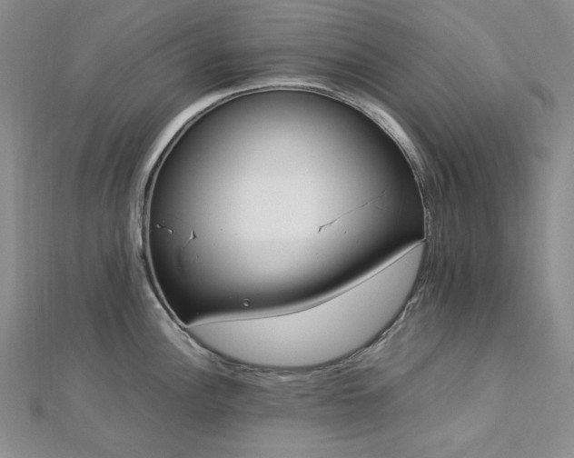 X0000113011148200908271403