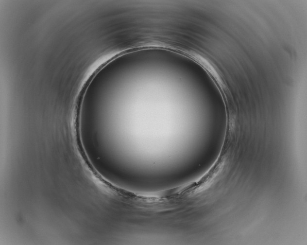 X0000113011149200908271403