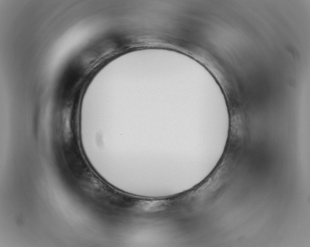 X0000113011150200908271403