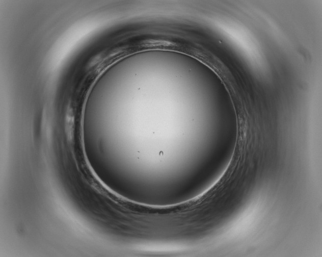 X0000113011151200908271403