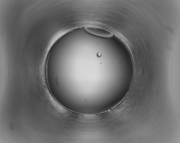 X0000113011152200908271403