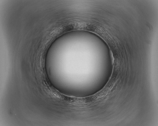 X0000113011153200908271402