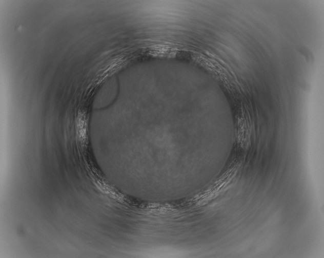 X0000113011154200908271402