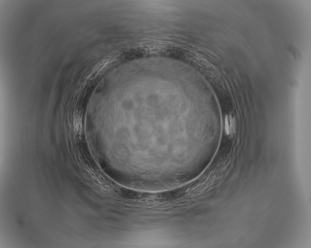 X0000113011155200908271402