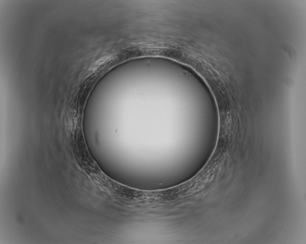 X0000113011157200908271402