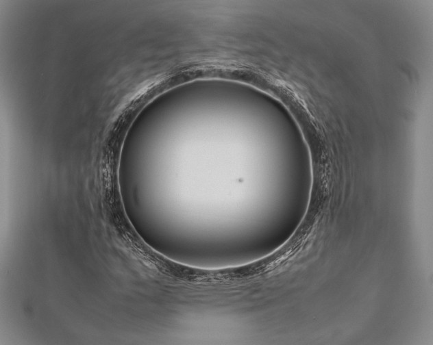 X0000113011159200908271402