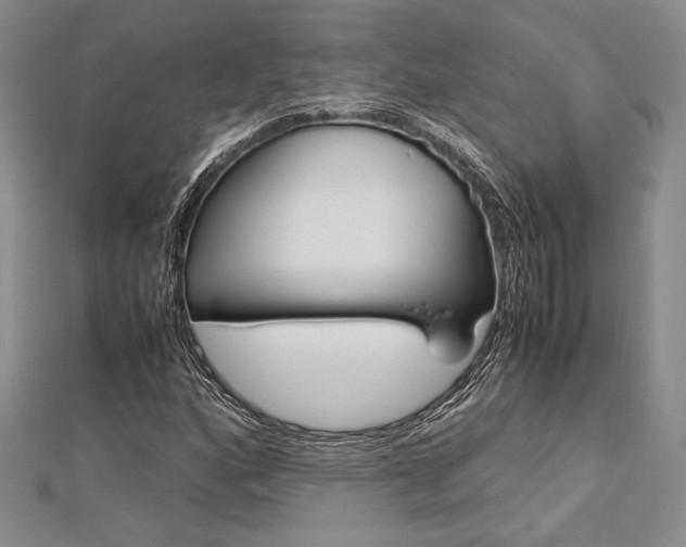 X0000113011160200908271402