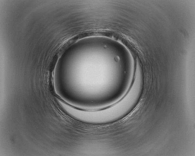 X0000113011161200908271402