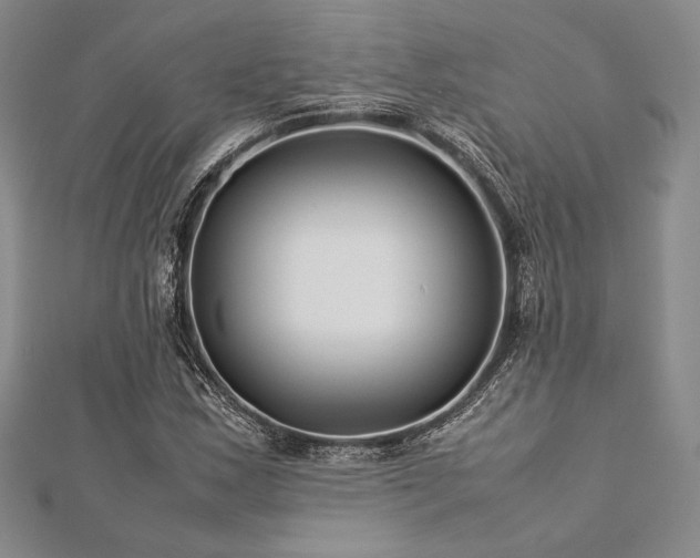 X0000113011163200908271402