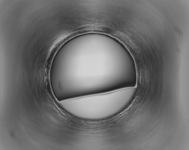 X0000113011164200908271402