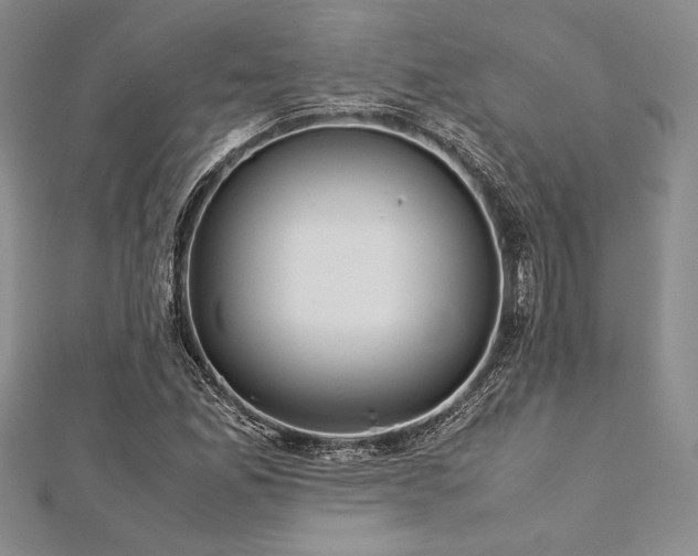 X0000113011165200908271402