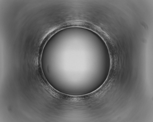 X0000113011166200908271402