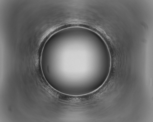 X0000113011167200908271402