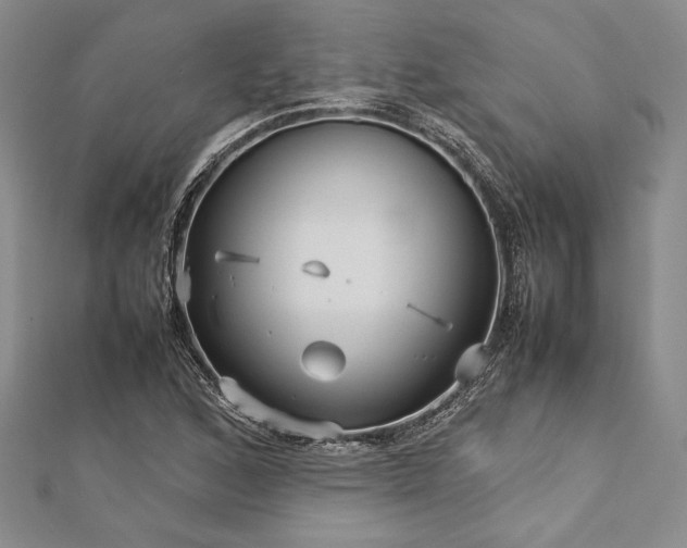 X0000113011168200908271402