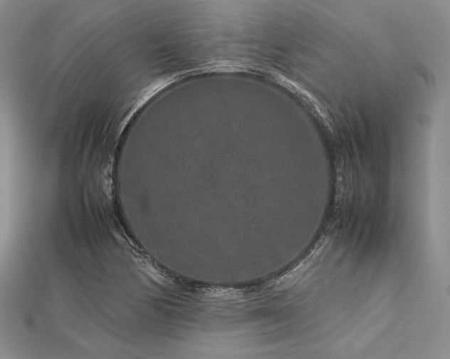 X0000113011170200908271402