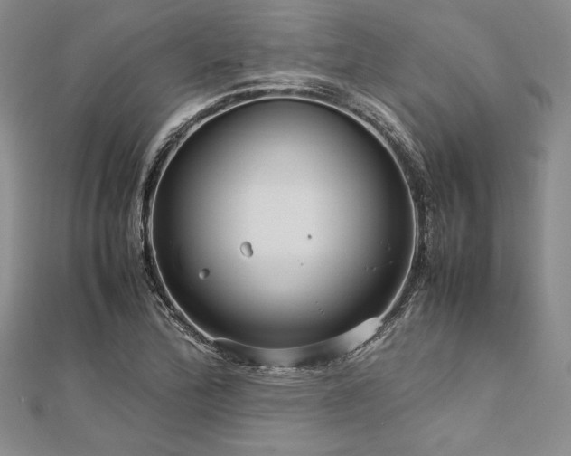 X0000113011172200908271402