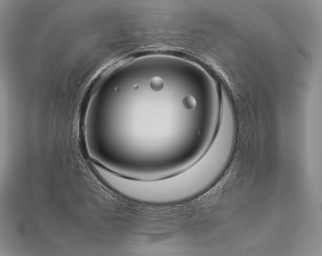 X0000113011173200908271402