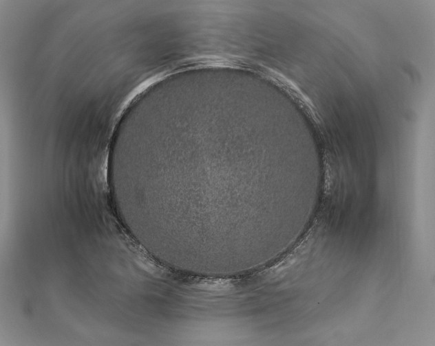 X0000113011174200908271402