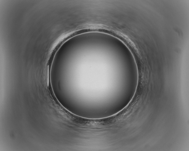 X0000113011175200908271402