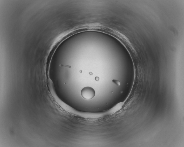 X0000113011176200908271402