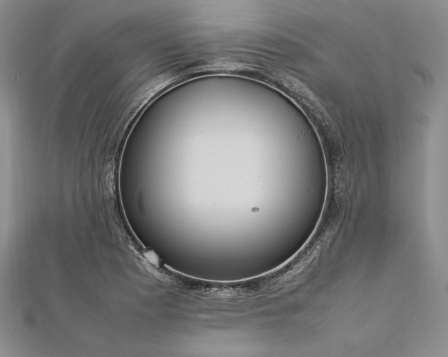 X0000113011177200908271402