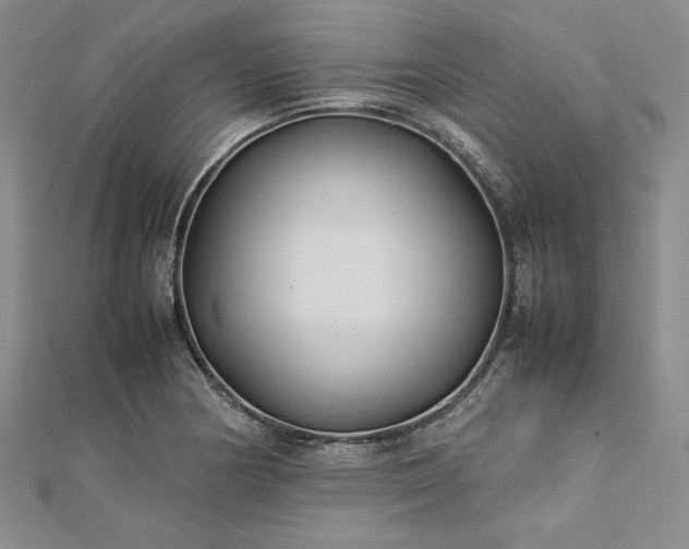 X0000113011178200908271402