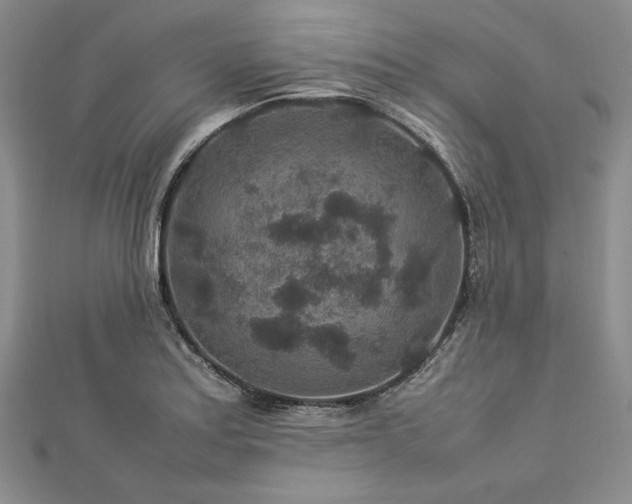 X0000113011179200908271402