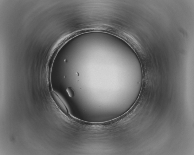 X0000113011180200908271402