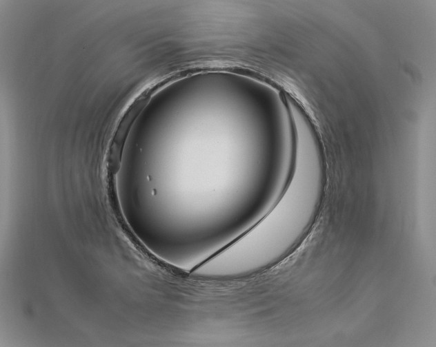 X0000113011181200908271402