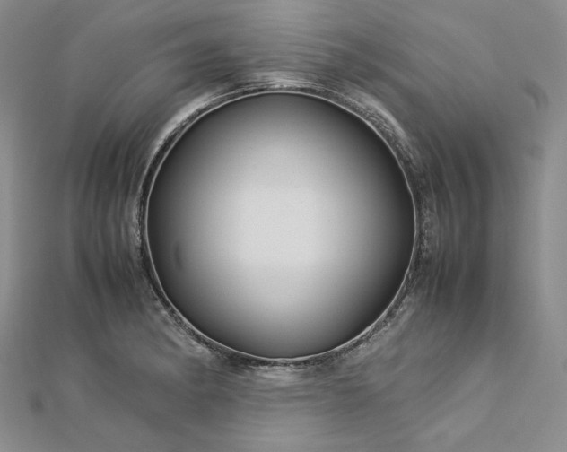 X0000113011182200908271402