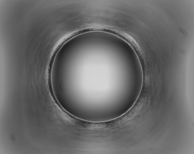 X0000113011183200908271402