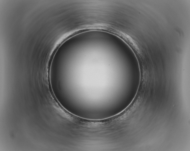 X0000113011184200908271402