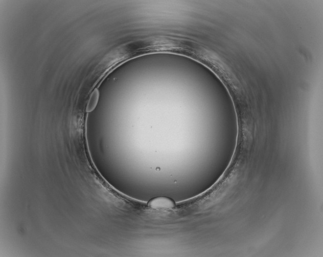 X0000113011185200908271402