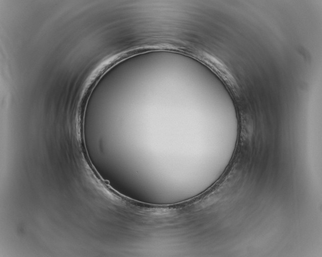 X0000113011188200908271402