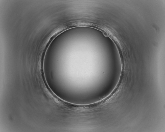 X0000113011189200908271402