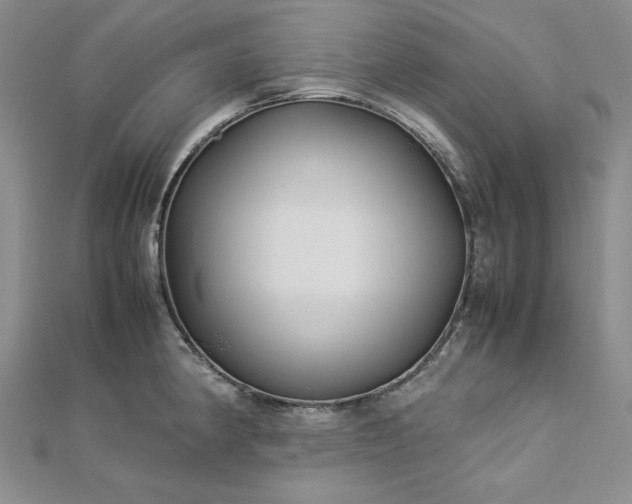 X0000113011190200908271402