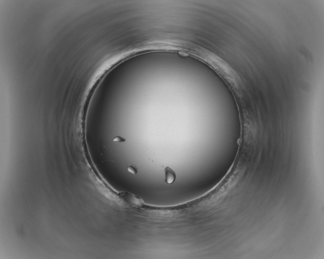 X0000113011192200908271402