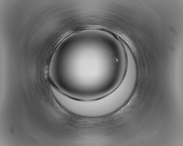 X0000113011193200908271402