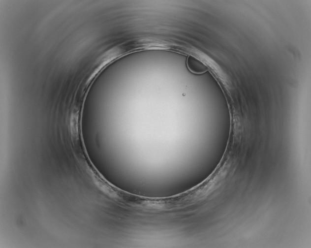 X0000113011194200908271402